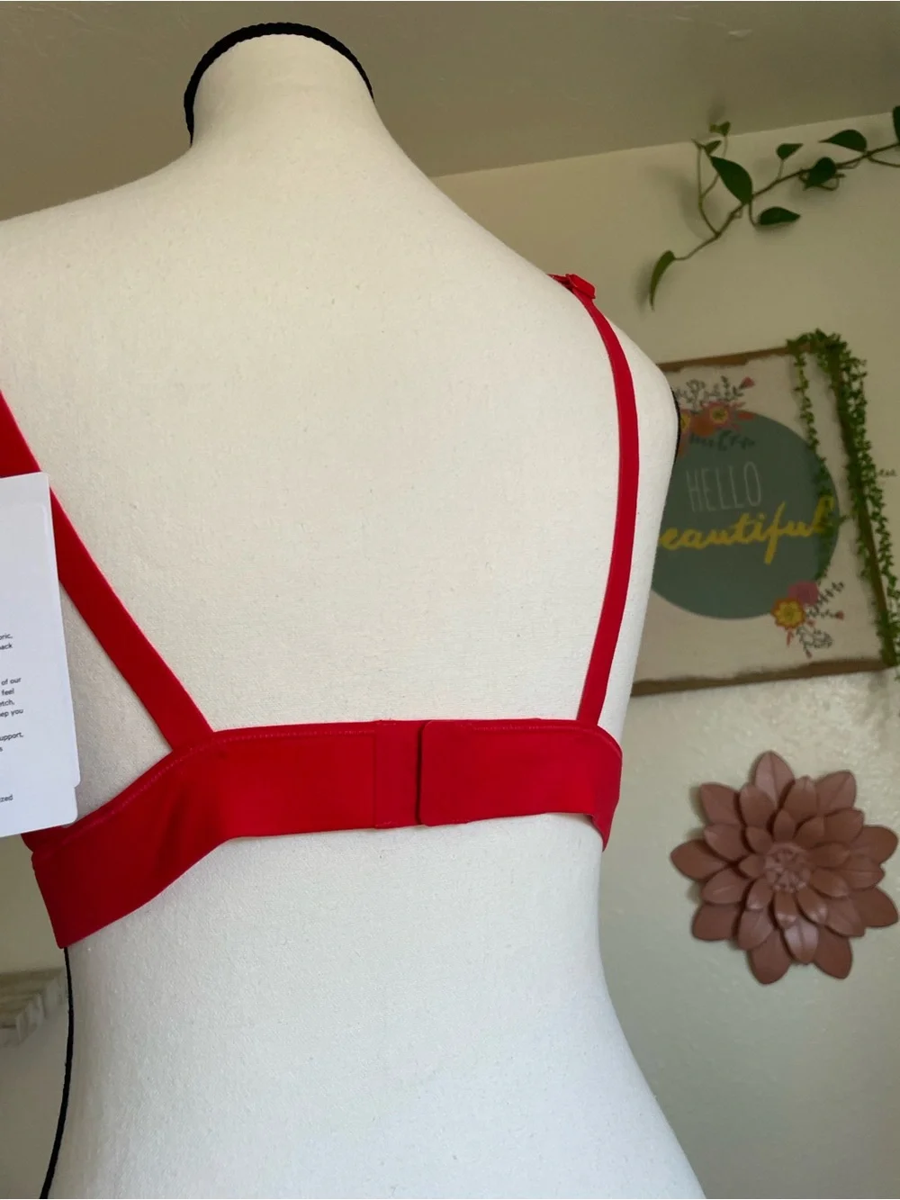 lululemon athletica Red V-Neck Bralette